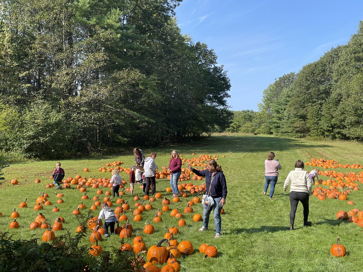 SeashoreTrolley tweet media