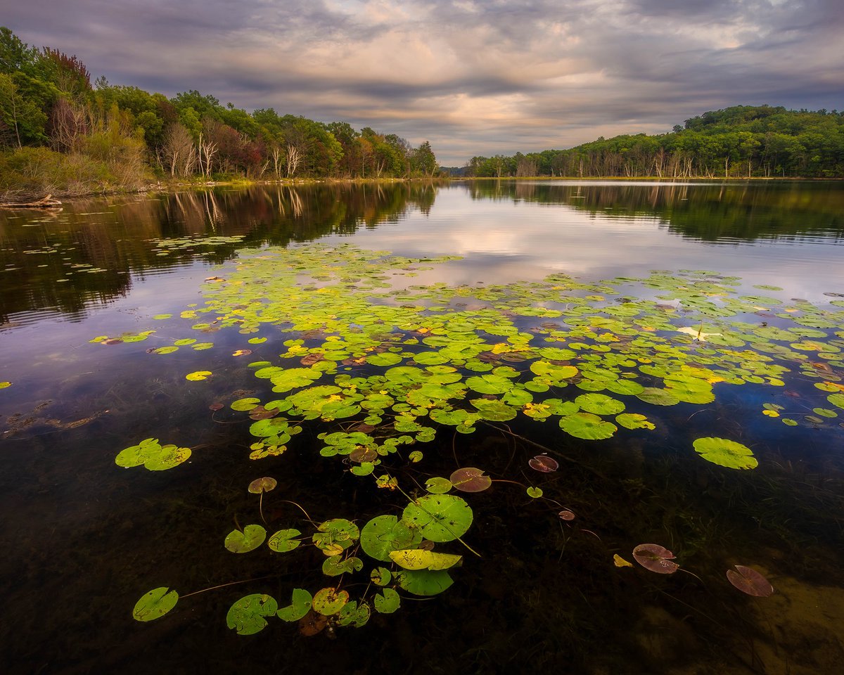 TMSkyHumPhoto's tweet image. Calm evening at Duck Lake. #landscapephotography