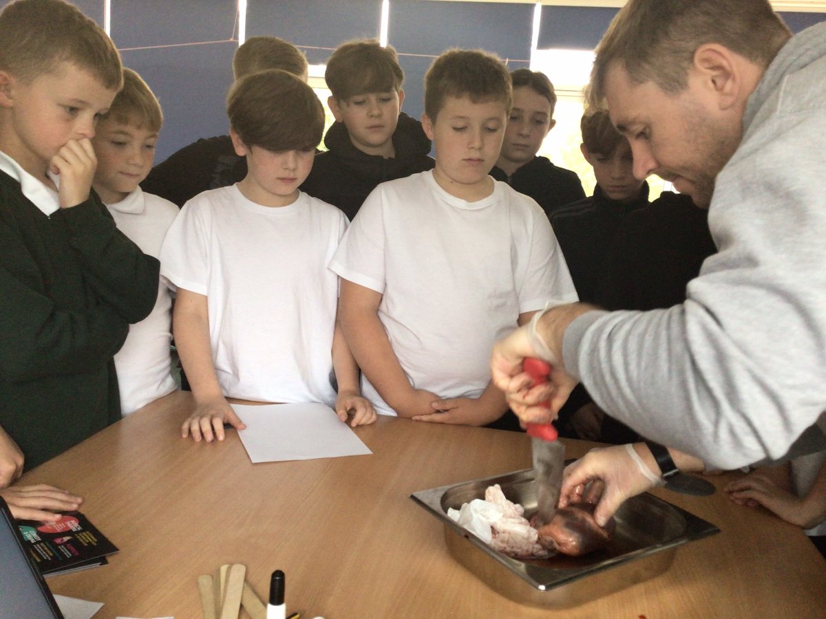 OJS Year 6 tweet media