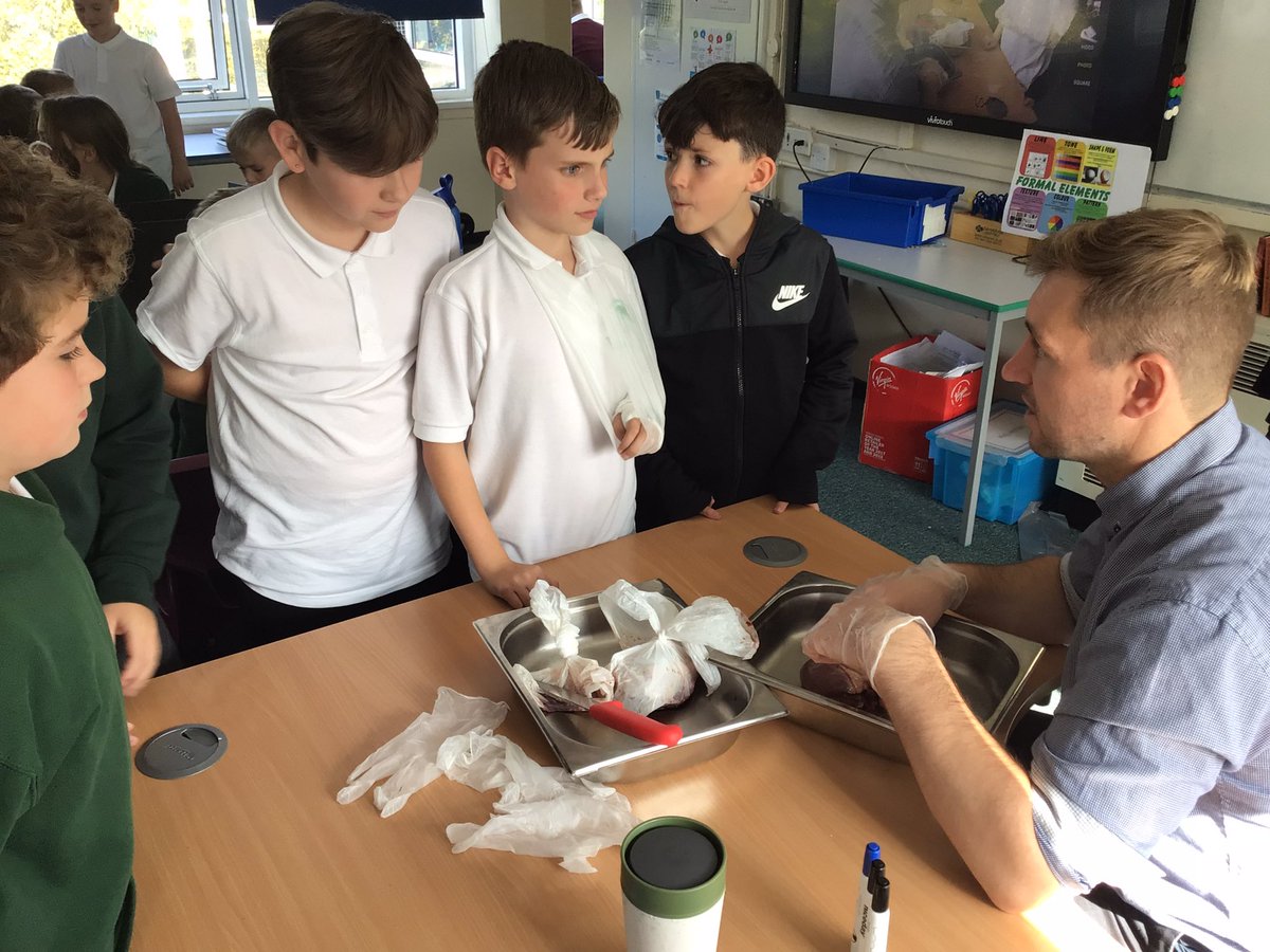 OJS Year 6 tweet media