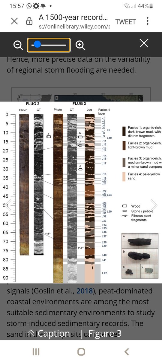 Jean Duncan tweet media