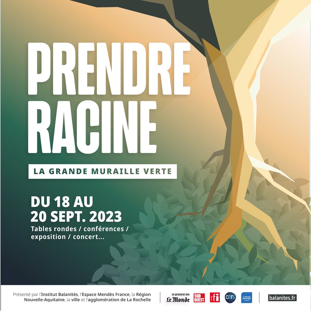 Institut Balanitès tweet media