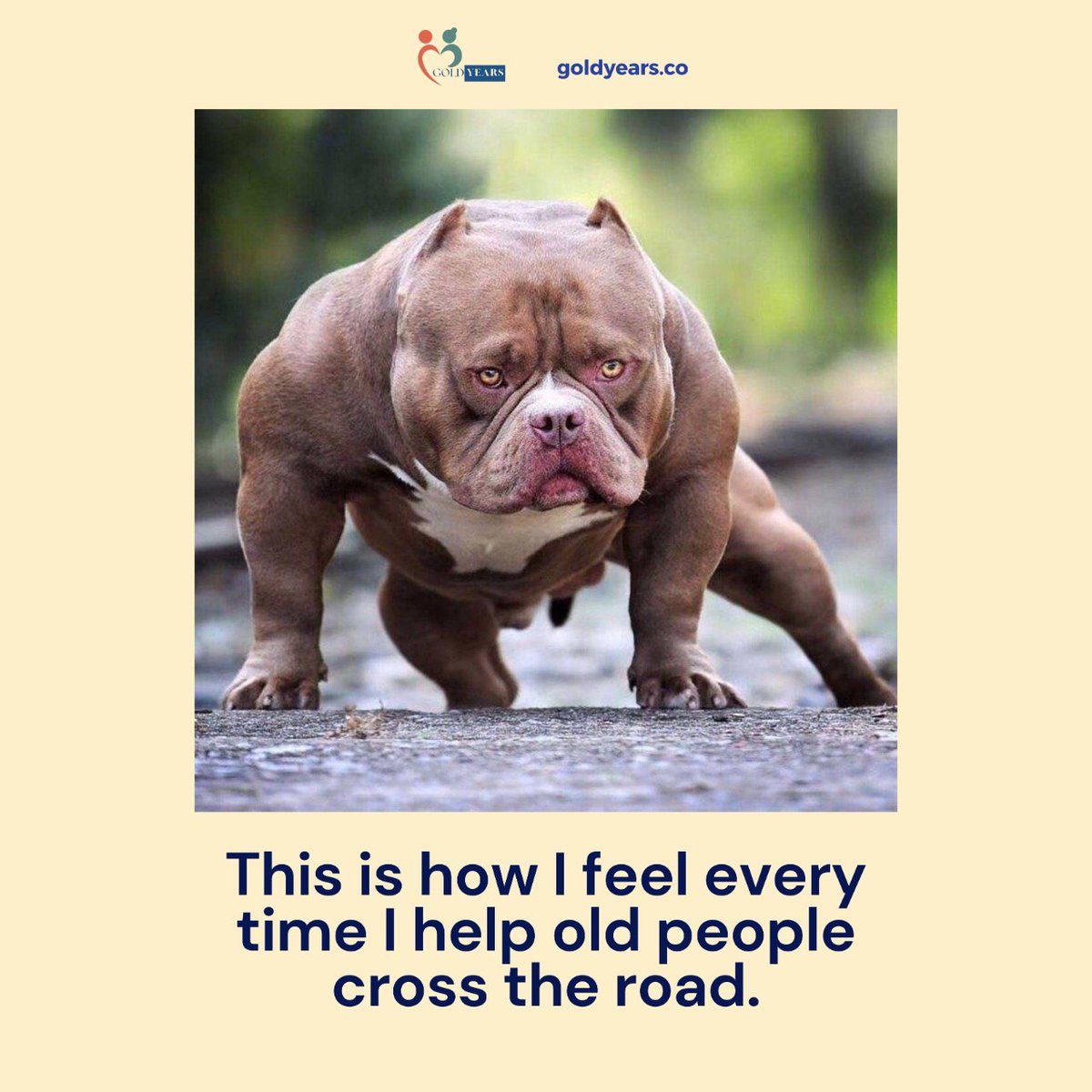 goldyears_'s tweet photo. Dive in to this link for a gift ideas for our grandmas and grandpas!: https://t.co/zt3w4FBzLi

#GoldenYears #SeniorCare #ElderlyCare #AgingGracefully #SeniorLiving #ElderlyHealth #Caregiving #RetirementLife #SeniorCitizens #HealthyAging https://t.co/EIxNp6KUdq
