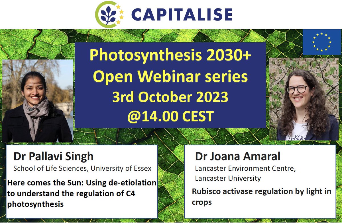 CAPITALISE-H2020 (@photosynth_2030) on Twitter photo The Photosynthesis 2030+ Webinars restart on the 3rd October. Register now to hear cutting edge research on the regulation of C4 photosynthesis and Rubisco activase with <a href="/Thepallavisingh/">Pallavi Singh</a> and <a href="/amaraljsc/">Joana Amaral</a> capitalise.eu/webinars/
#photosynthesis #C4 #Rubisco #bettercrops The Photosynthesis 2030+ Webinars restart on the 3rd October. Register now to hear cutting edge research on the regulation of C4 photosynthesis and Rubisco activase with <a href="/Thepallavisingh/">Pallavi Singh</a> and <a href="/amaraljsc/">Joana Amaral</a> capitalise.eu/webinars/
#photosynthesis #C4 #Rubisco #bettercrops