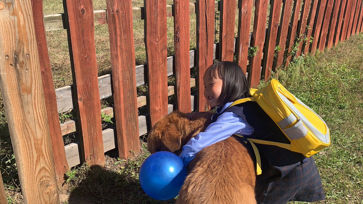 Хөдөөд хүүхэд хичээлээ тарж яваад машинд дайруулах, хулгайлагдах, хутга тулгуулах, дээрэмдүүлэх, дээрлэхүүлэх, тогонд цохиулах, толгой дээрээс нь төмөр унах АЮУЛ ҮГҮЙ, АЙДАС ҮГҮЙ! 

ХӨДӨӨ ХҮҮХДЭД ЭЭЛТЭЙ 🧡

Яахав бас халгайнд хөлөө түлэх, зөгийд хатгуулах энэ тэр эрсдэл бий  бий.