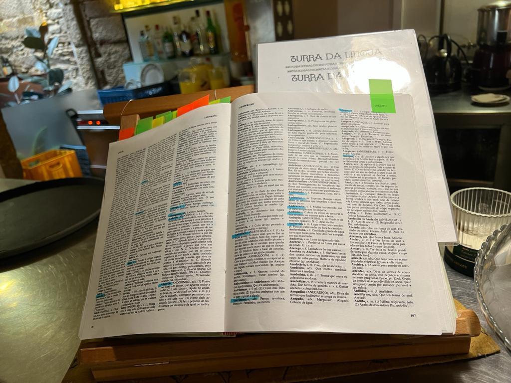magago's tweet photo. Ás veces o sinxelo é extraordinario. Cando agardas polo café para levar no compostelán Airas Nunes, a vista vaise ao dicionario galego da barra, aberto con provocación. "Marco palabras que se están a perder", explica Lois. Os clientes pechamos o móbil para saber que é a anducia. https://t.co/kITfxIetAP