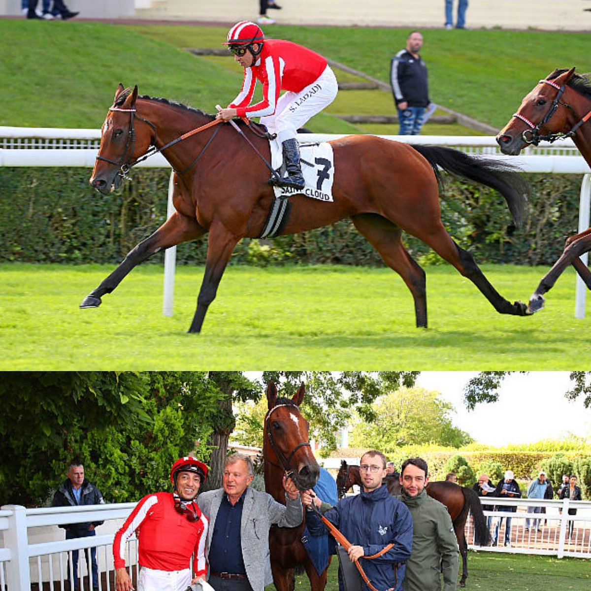 Dilawar s'impose aujourd'hui à Saint Cloud dans le Prix Chuchoteur sous la selle de @stephaneladjadj et les couleurs de @victoriousracing. Félicitations à toute l'équipe. @aprhchantilly @BahrainTurfClub