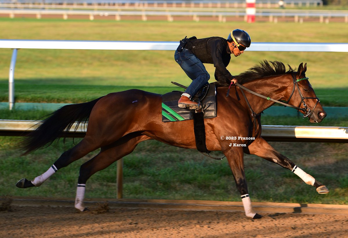 Frances J Karon tweet media