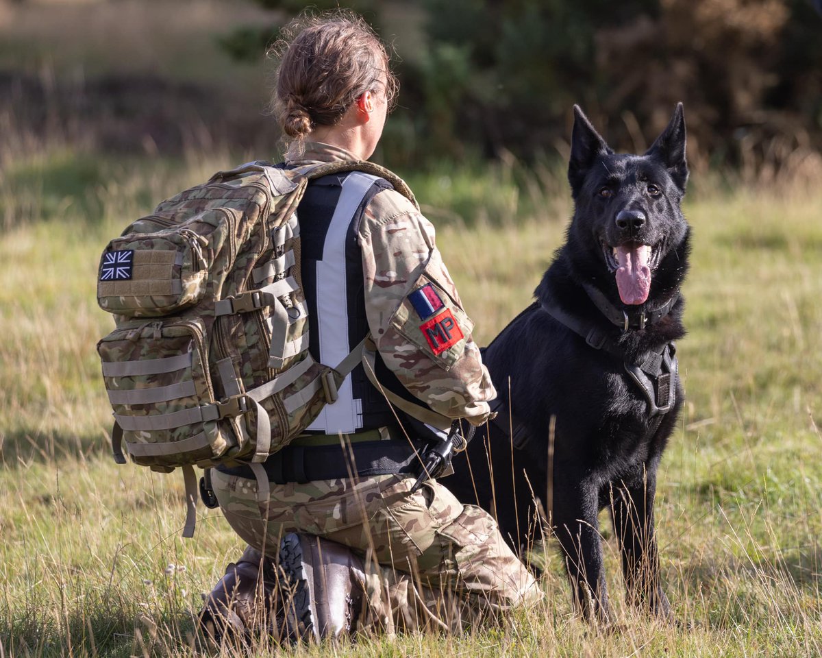 The 2023 RAF Police Military Working Dog Trials have crowned their champions! @RAF__Police Military Working Dog teams from across the UK and Cyprus have battled it out over the past few days at @RAFHonington for the ‘Top Dog’ crown. See all winners here: ow.ly/xmAW50POwWA