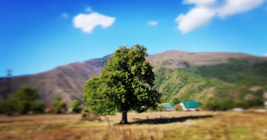 __itsstepheniee's tweet image. Beautiful morning 🌄