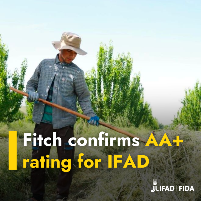IFAD's tweet photo. IFAD's AA+ rating with a Stable Outlook has been confirmed by @FitchRatings ✅

This reflects our solid capacity to support rural communities amid widespread economic uncertainty.