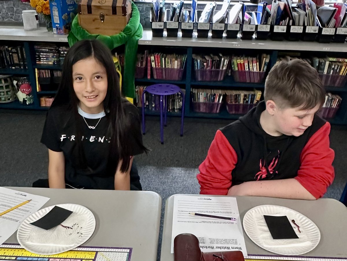 Dain Elman tweet media