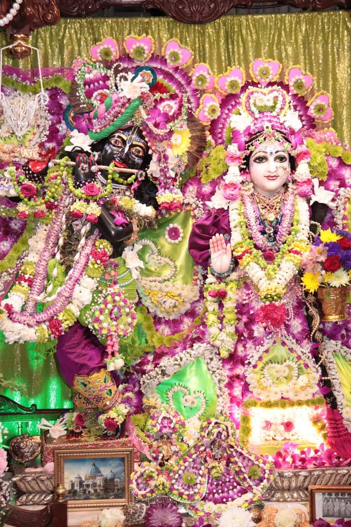 sanataniameric1's tweet photo. Happy #Radhasthami to everyone. Jai Radhe! https://t.co/AN02DpvuXf