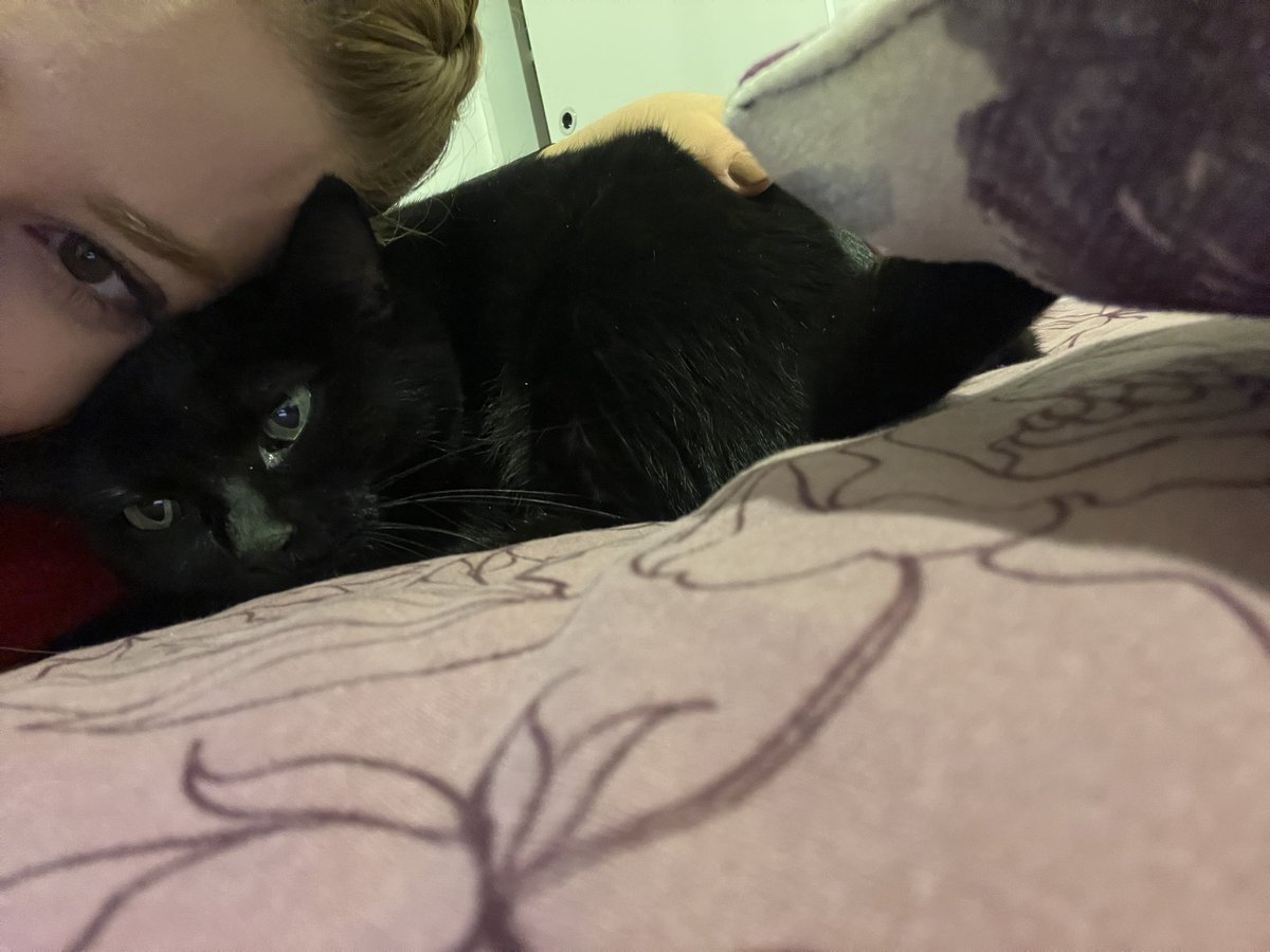 bida beteriner yok tm mı?