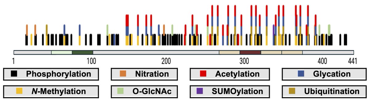 Walczak Lab tweet media
