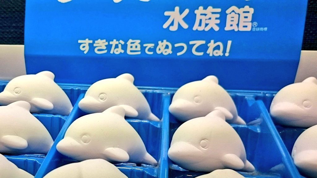 ocns8oc's tweet photo. 何年も前だけど純黒公開後にとある水族館で見かけた🐬ちびっこ達の中で半泣きだったよね。。 https://t.co/7XNPoBiaoh