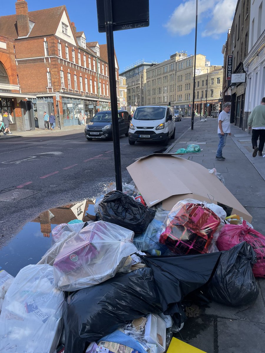 ChrisDysonArch's tweet photo. @TowerHamletsNow this is appalling what are you going to do? This strike is on until 1st october by then we shall be awash with rats !! https://t.co/Fb6iZlc6xt