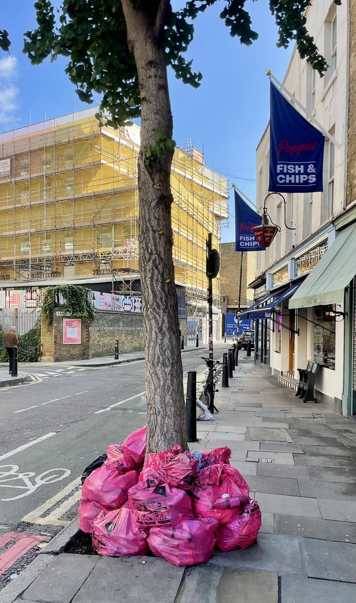 ChrisDysonArch's tweet photo. @TowerHamletsNow this is appalling what are you going to do? This strike is on until 1st october by then we shall be awash with rats !! https://t.co/Fb6iZlc6xt