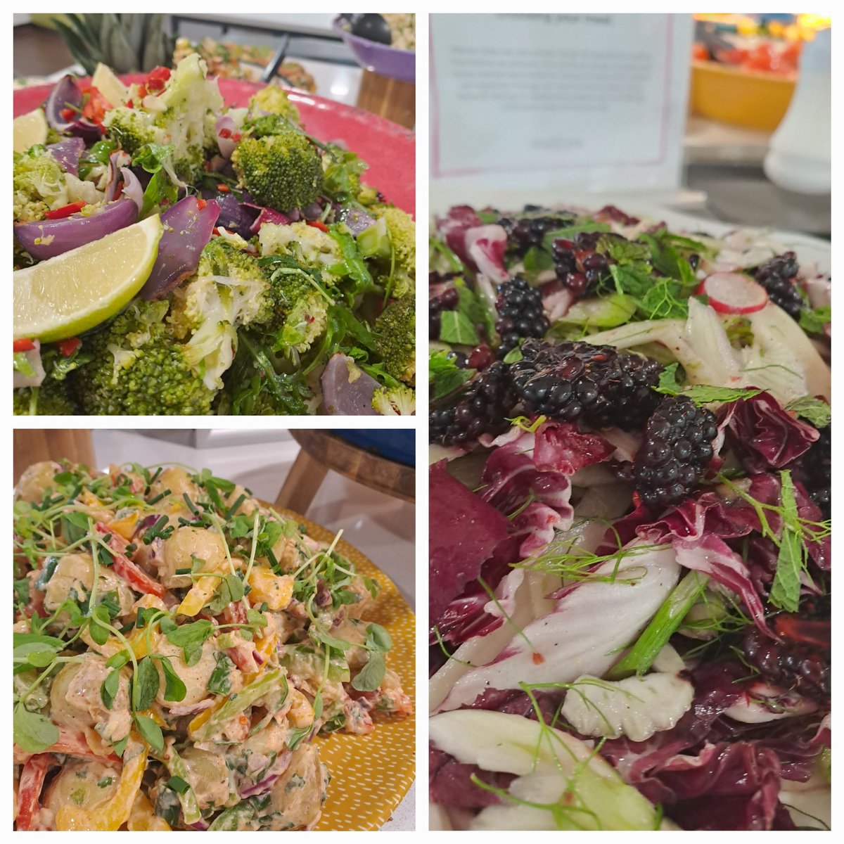 Elmhurst catering tweet media