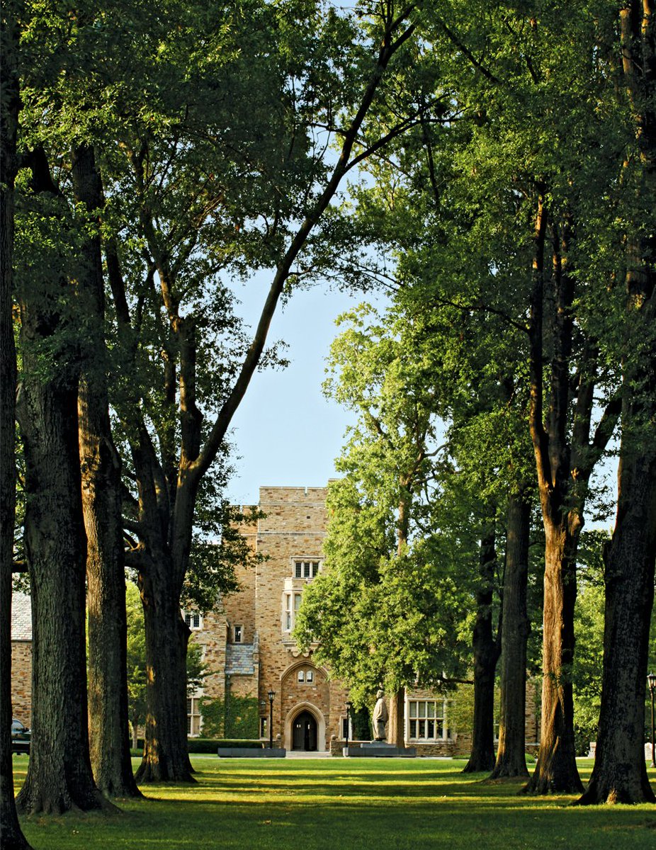 Please RT! If you enjoy undergrad research mentoring and teaching, come join me in the Biology Department at @RhodesCollege ! There are two TT Asst. Prof positions open - Evolution tinyurl.com/rcbio-evo and also Organismal Bio tinyurl.com/rcbio-org