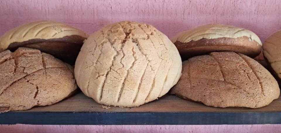 HermiloMO's tweet image. Ser orgullosamente #Tejupilquense 🙌🤝es los más grato qué tengo.
Su gente, sus tradiciones, su cultura y gastronomía.
#OrgulloDeDondeVengo
#Tejupilco
#JuntosSomosMásFuertes