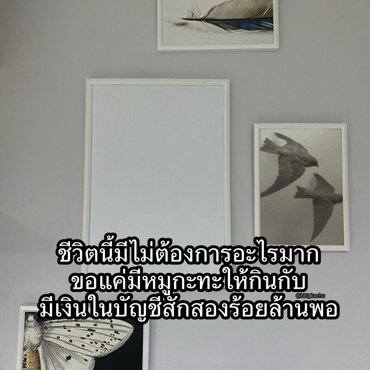 ชีวิตนี้ขอแค่นี้แหละ 5555555555555