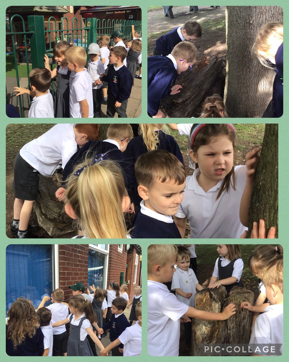 MissHoad_KPA tweet media