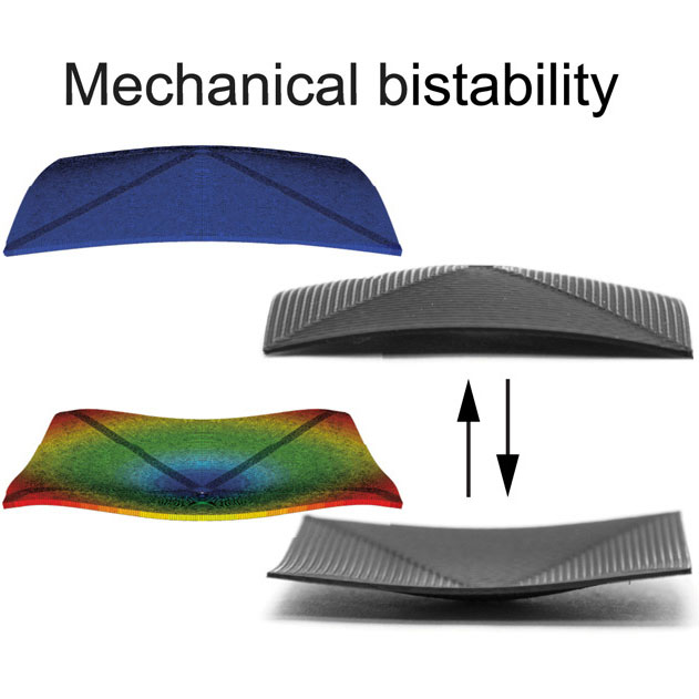 Fresh off the press! We exploit the tendency to warp in fused filament fabrication to make surfaces that heat deploy to bistable domes. Great to work with Mattis at Mesh AG, <a href="/ywang298cougar/">Yue Wang</a> at <a href="/UHEngineering/">UH Cullen College of Engineering</a>, and Kristina at <a href="/ETH_en/">ETH Zurich</a>. 
doi.org/10.1016/j.engs…
