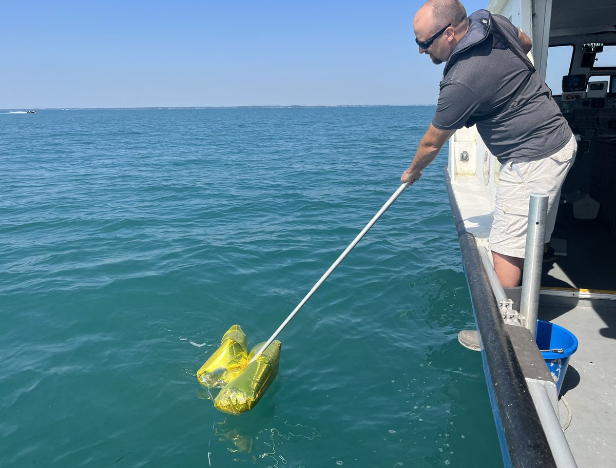 BradU42's tweet photo. Another day on the water and of course more balloons to remove from #LakeStClair.  Please don’t release balloons on purpose. 🎈😡 https://t.co/ZsfCTtiIIj