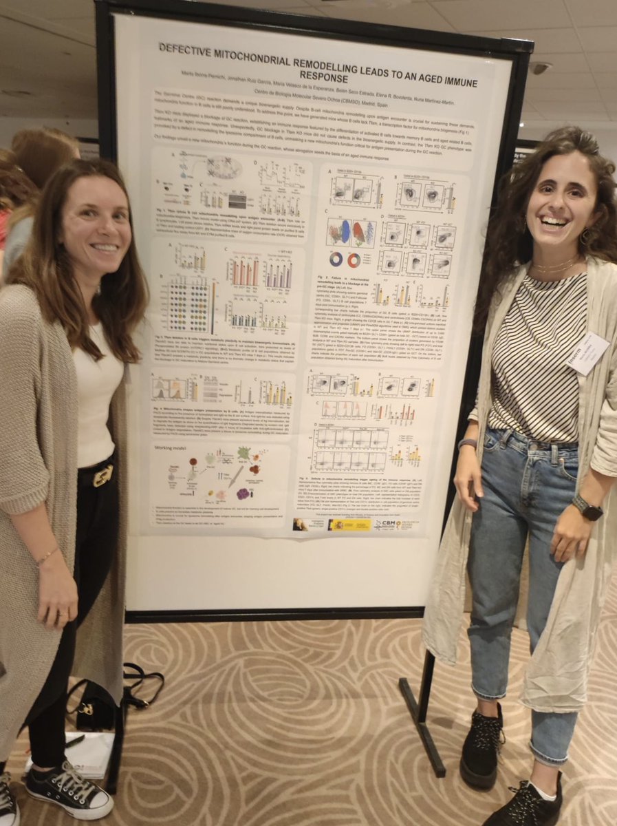 NMartinezLAB's tweet photo. It's been a pleasure participating in the Metabolism in the Single Cell Era workshop 🧬🧪organized by @RafaJArguello, @cosgrove47, Antoine Marçais and @Perielab1. Heading back home, both metabolically and socially fueled! 🔥 #MetabolismIntheSingleCellEra  #networking https://t.co/mFcVtfjCWg