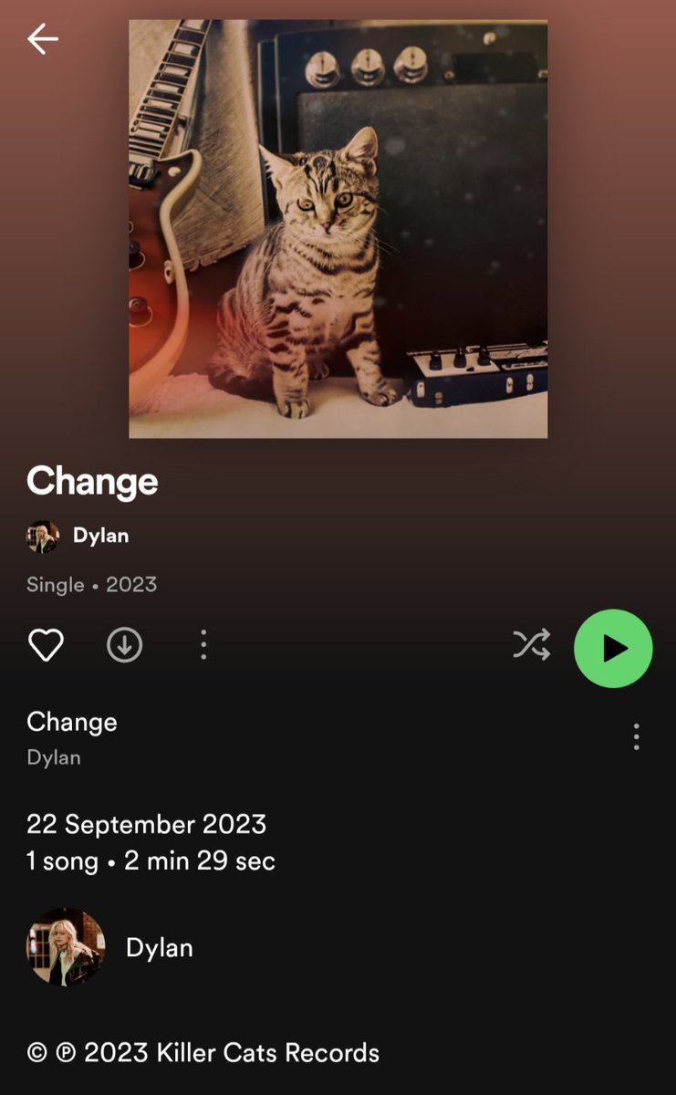 Daniel Wright 🐝 tweet media