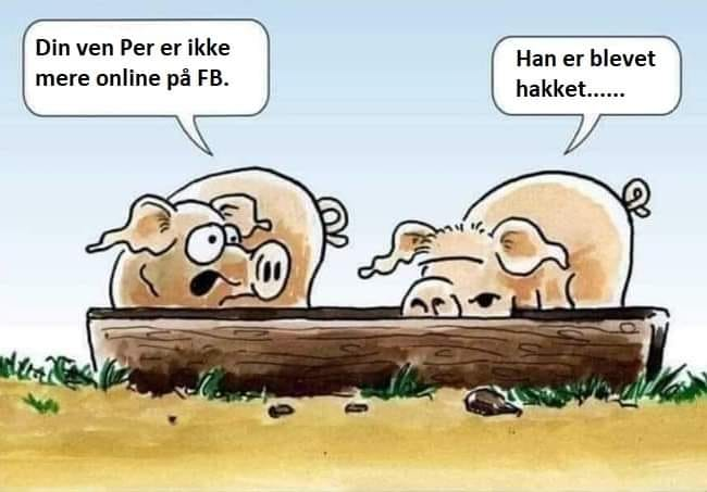 rasmusvikingen's tweet photo. Uheldigt.
#softhumor https://t.co/UpiJwIlxt1