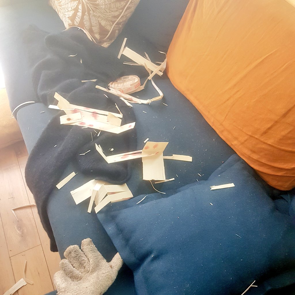 Ma chienne doit avoir des origines normandes, elle a une nette préférence pour le camembert...