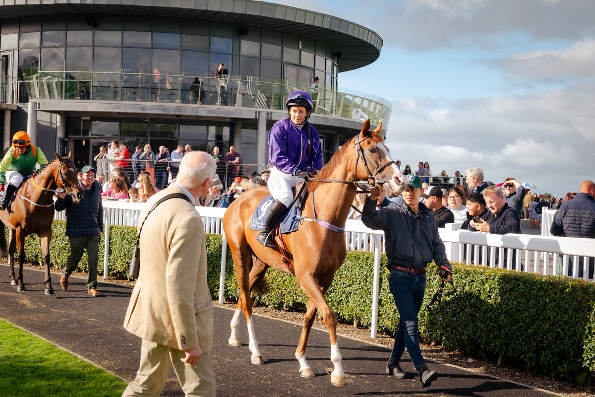 CorinthianChall's tweet photo. @thesweeps_io  are delighted to be supporting Martina Dempsey  who is taking part in this year’s Challenge.
What kind of sweep is it? Pick 5 yearlings from the @goffs1866 Orby Book 1 catalogue, highest combined sales price wins, and some great prizes 🐴
https://t.co/Q5gmcCOQMT https://t.co/VRRqlugLjP