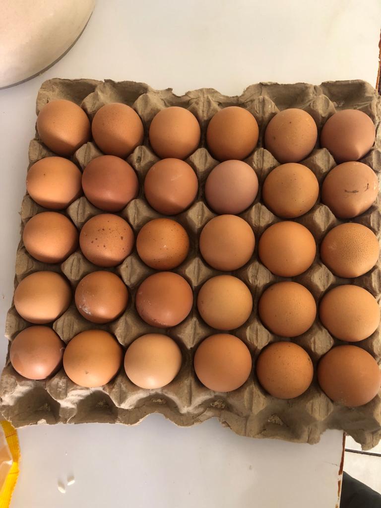 Chickens going at k6000 eggs k4000, I'm in area 3 Lilongwe kindly retweet 😊