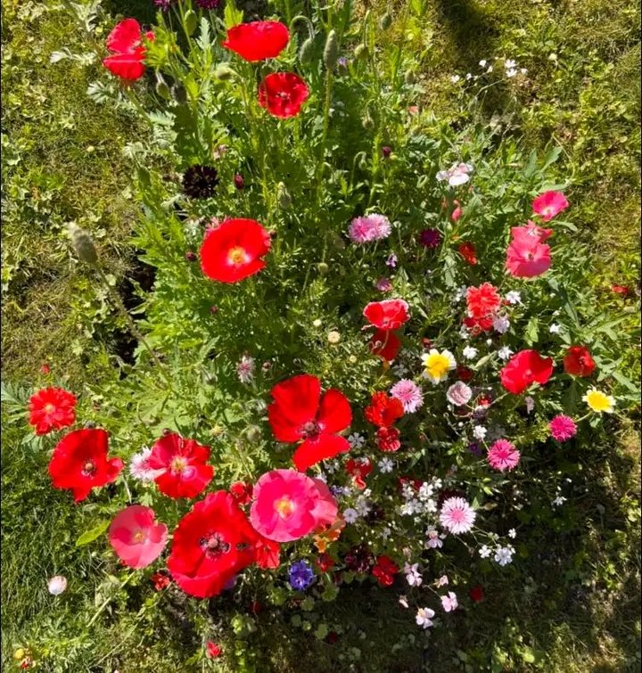 Gabriel Armstrong (@gabrielarm63487) on Twitter photo 