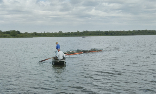 LifeForestAll's tweet photo. Ieri si è proceduto al recupero delle 10 zattere artificiali installate a fine marzo nel lago Ancillotto in #Oasi @WWFitalia di #ValleAverto, in attesa di essere trasportate c/o il Centro visite per la manutenzione.
https://t.co/aOnfyTEM6G 
#Natura2000 #LIFEProgramme #LIFEProject https://t.co/8WQy5v3BFZ