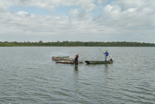 LifeForestAll's tweet photo. Ieri si è proceduto al recupero delle 10 zattere artificiali installate a fine marzo nel lago Ancillotto in #Oasi @WWFitalia di #ValleAverto, in attesa di essere trasportate c/o il Centro visite per la manutenzione.
https://t.co/aOnfyTEM6G 
#Natura2000 #LIFEProgramme #LIFEProject https://t.co/8WQy5v3BFZ
