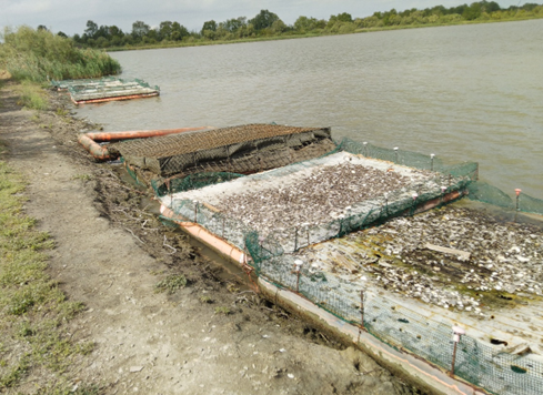 LifeForestAll's tweet photo. Ieri si è proceduto al recupero delle 10 zattere artificiali installate a fine marzo nel lago Ancillotto in #Oasi @WWFitalia di #ValleAverto, in attesa di essere trasportate c/o il Centro visite per la manutenzione.
https://t.co/aOnfyTEM6G 
#Natura2000 #LIFEProgramme #LIFEProject https://t.co/8WQy5v3BFZ