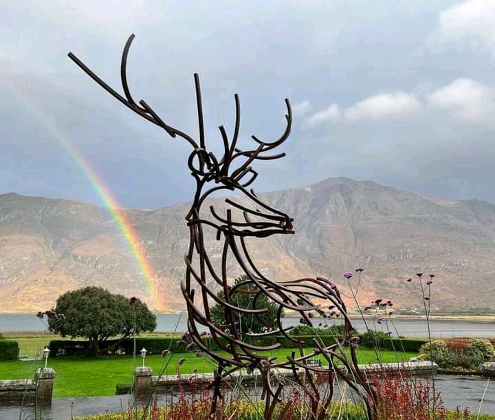 Gabriel Armstrong (@gabrielarm63487) on Twitter photo 