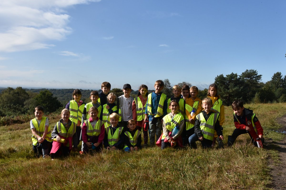 NutleyCEP's tweet photo. Fox Class enjoyed the sunshine on the beautiful Ashdown Forest today.  We looked out for signs of autumn changes in the trees and hedgerows 🍂🌞 https://t.co/xbIJ46Oh9P
