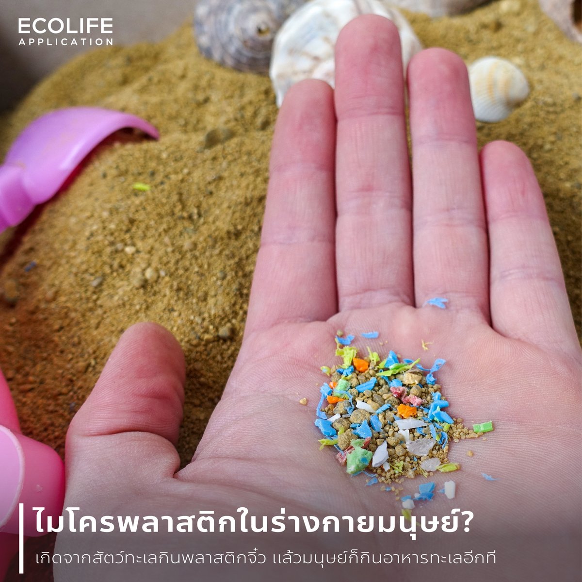 ecolifeapp2's tweet photo. เรื่องสยองสองบรรทัด : น้องในทะเลกินพลาสติกจิ๋ว ๆ เข้าไป แล้วพวกเราก็กินน้องอีกที 😱
#ECOLIFE #microplastic #พลาสติก #ไมโครพลาสติก #SDGs https://t.co/bcoxT77phT