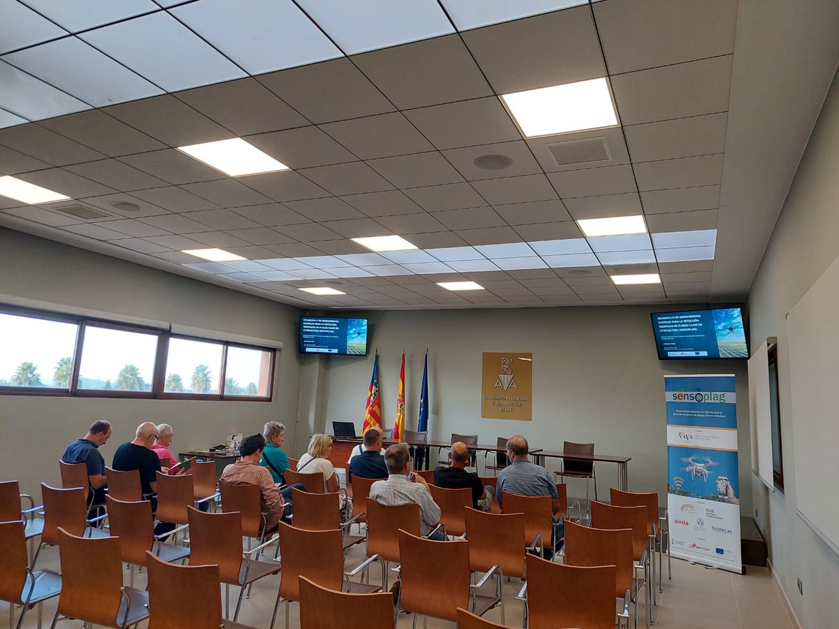 REDOLí_UV tweet media