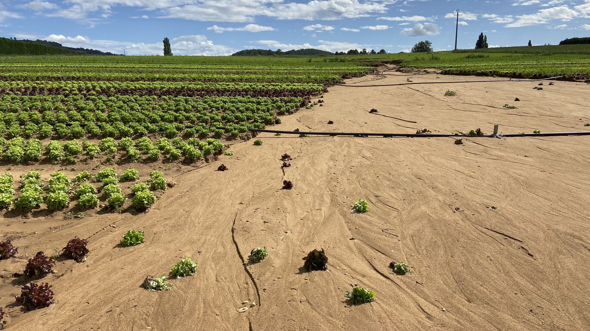 Nous pouvons certainement blâmer les caprices de la météo mais le travail du sol et la non couverture reste une grosse problématique qu’il va falloir un jour intégrer !