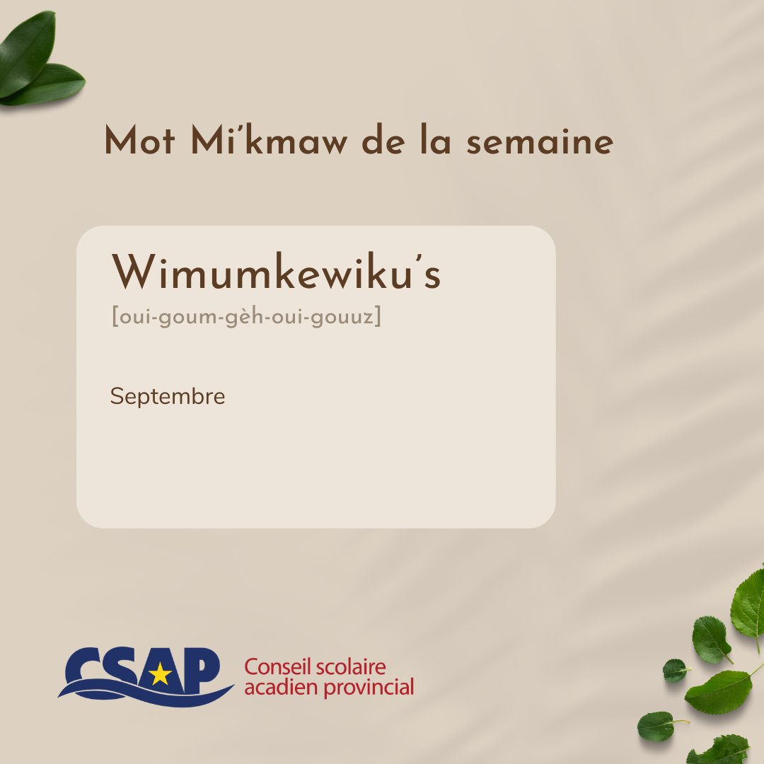Mot Mi'kmaw de la semaine!

Cette semaine on vous présente Wimumkewiku's.  Ceci est le mot qui signifie septembre. 

Ici pour l'audio - drive.google.com/file/d/1CuqTZu…