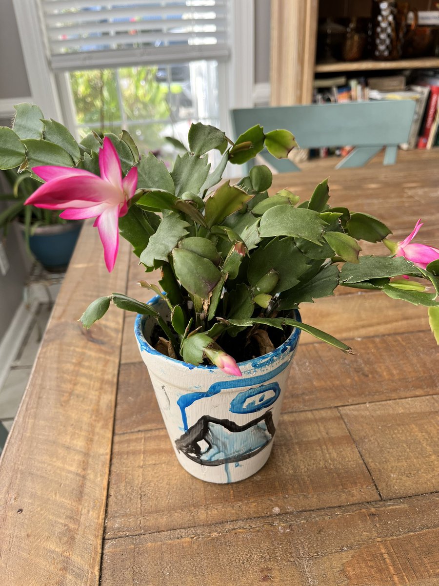 Kelley Warren tweet media