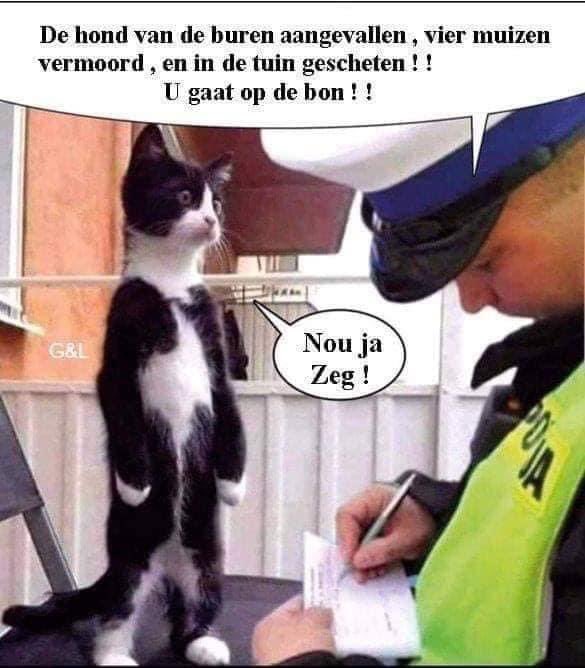 #terugvolgvrijdag. Maak er een mooi weekend van