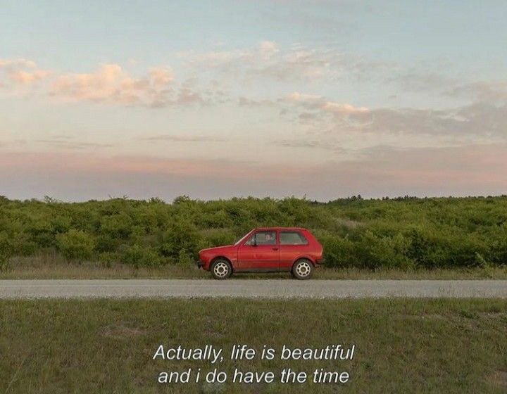 silvia🍂 tweet media