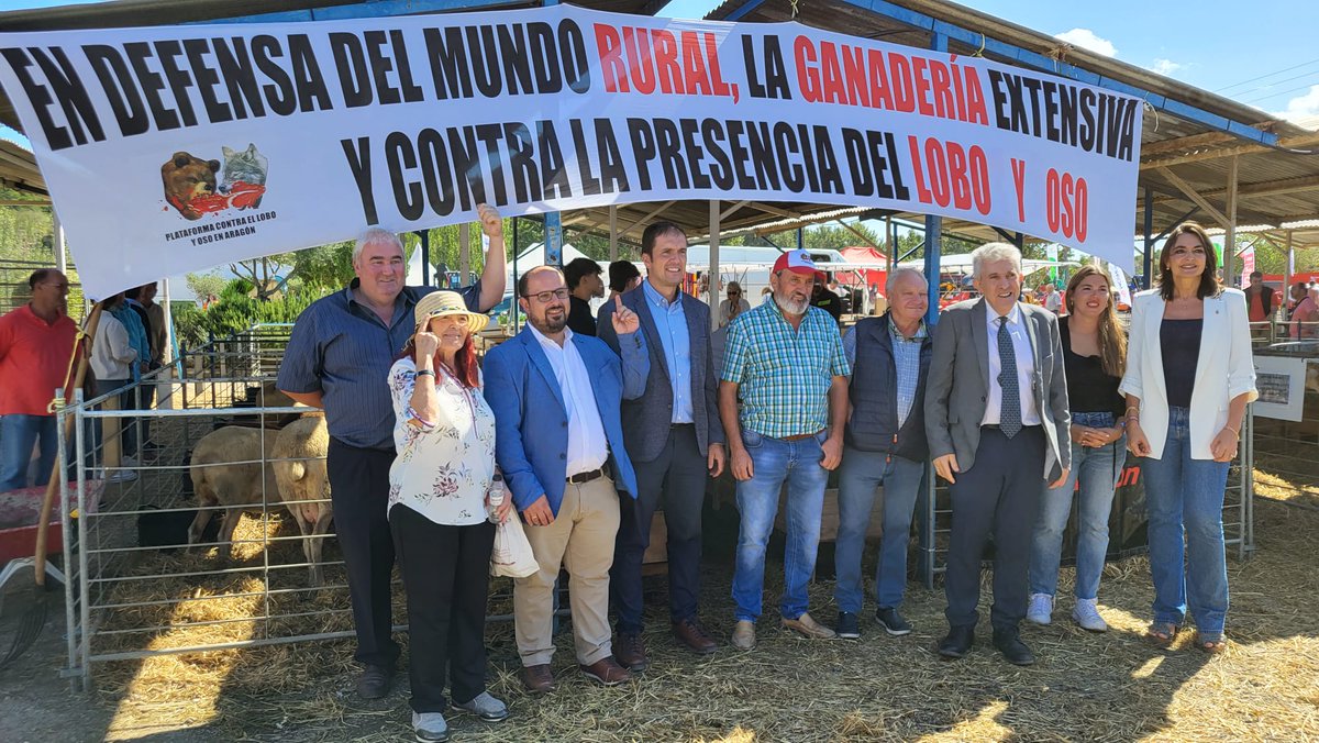 AlbertoXAragon's tweet photo. 👏En #Sariñena apoyando la feria de #FEMOGA, una de las más importantes del sector reuniendo cada año a más de 40.000 personas.
💪 Defendemos el gran valor de la celebración de #feriasganaderas y #agrícolas para impulsar el desarrollo socioeconómico del medio rural aragonés. https://t.co/4Wo4Uw4qCh