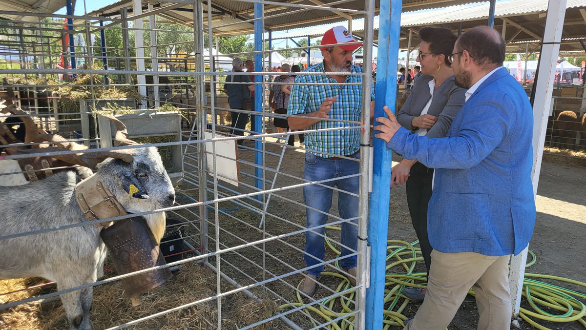 AlbertoXAragon's tweet photo. 👏En #Sariñena apoyando la feria de #FEMOGA, una de las más importantes del sector reuniendo cada año a más de 40.000 personas.
💪 Defendemos el gran valor de la celebración de #feriasganaderas y #agrícolas para impulsar el desarrollo socioeconómico del medio rural aragonés. https://t.co/4Wo4Uw4qCh